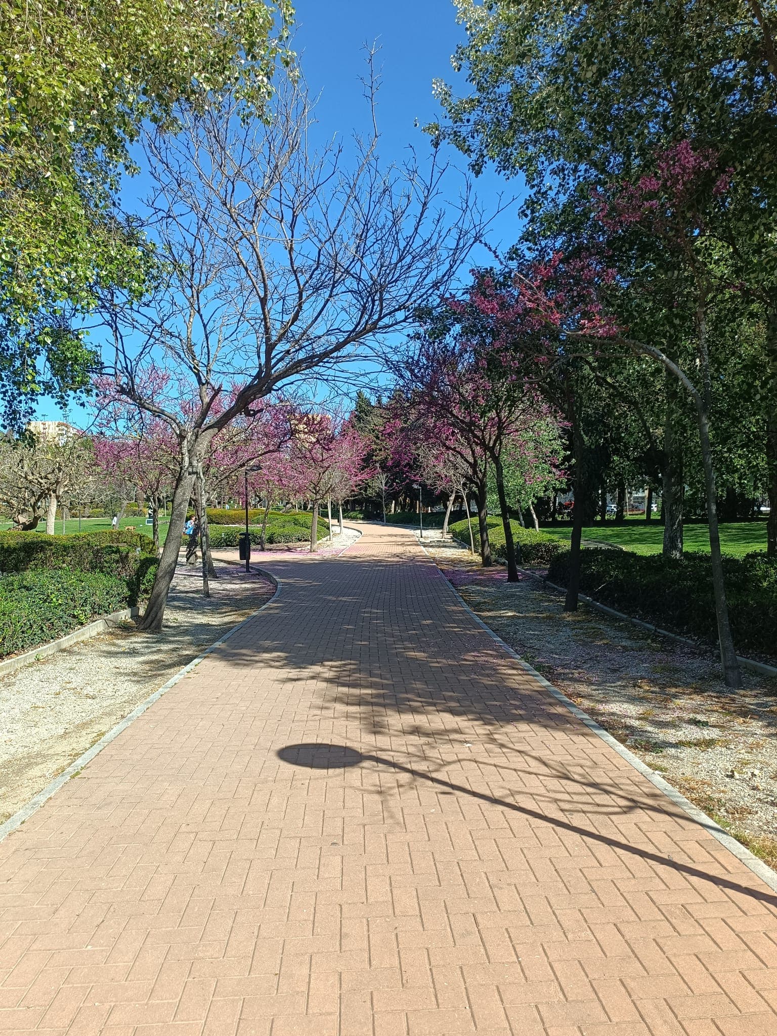 Urbanización las Naciones 11