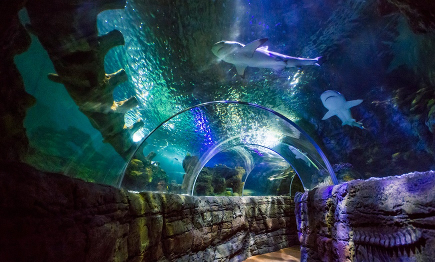 Sea Life Benalmádena